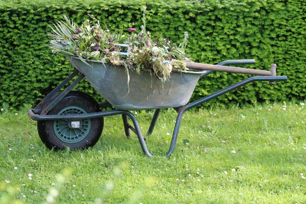 Jardinbioconseils